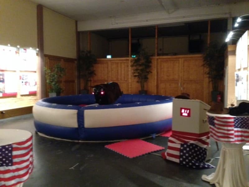 Bullriding / Rodeo Bullriding / American Bullriding / Rodeo Bullriding – 3