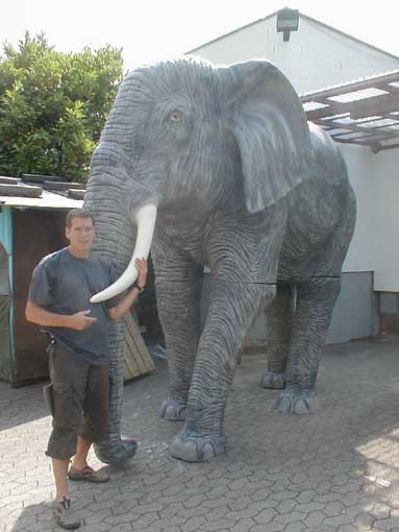 Elefant, Afrika,Tier,Zoo,Reservat – 2