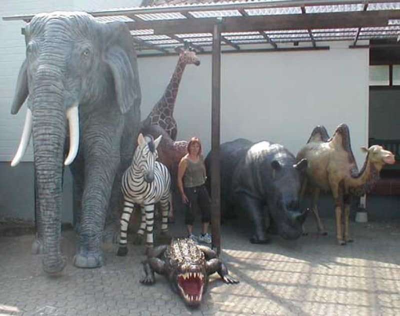 Elefant, Afrika,Tier,Zoo,Reservat – 3