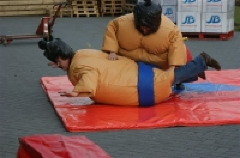 Sumo-Ringen – 2