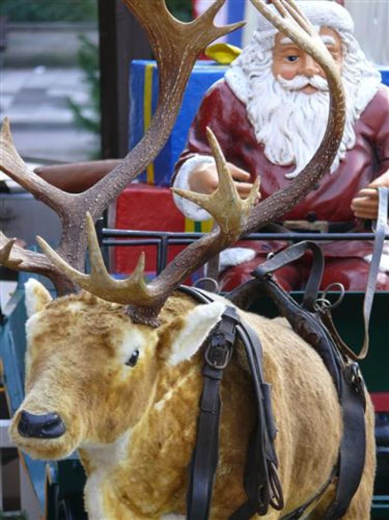 Weihnachts Dekoration - Hirsch , Weihnachten , Weihnachtsmarkt – 3