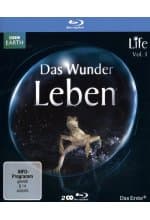 Life - Das Wunder Leben - Vol. 1  [2 BRs]