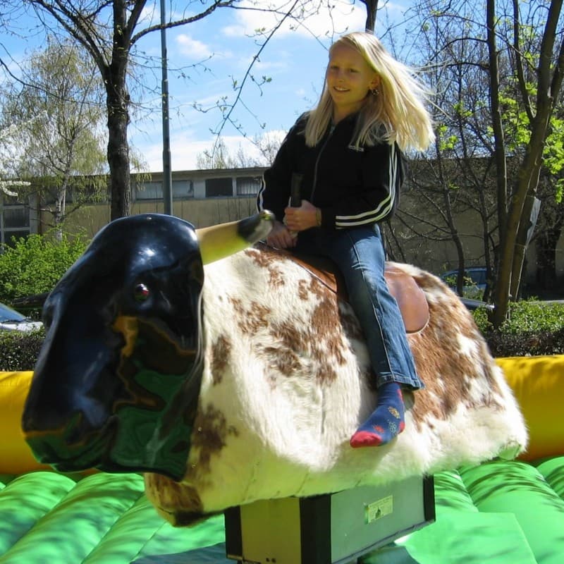 Bullriding - American Western Rodeo