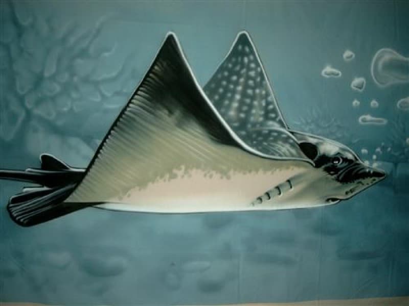 Rochen Unterwasser Bühnenbild , Maritime Dekoration , Rochen Bild