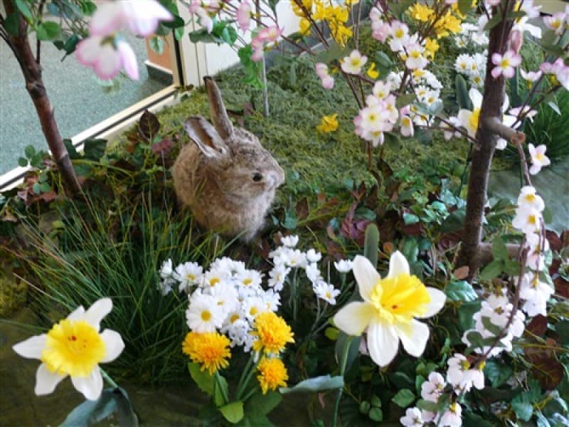 Frühlingslandschaft Künstlich Frühlingsdekoration , Oster Dekoration , Frühlingsblumen – 2