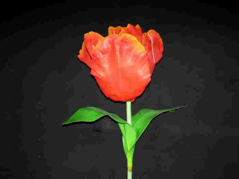 Riesen Tulpen - Frühlingsdekoration , Blumen Dekoration , große Blumen