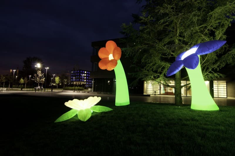 Airflower / Riesenblume / Deko Blume / aufblasbare Blume – 3