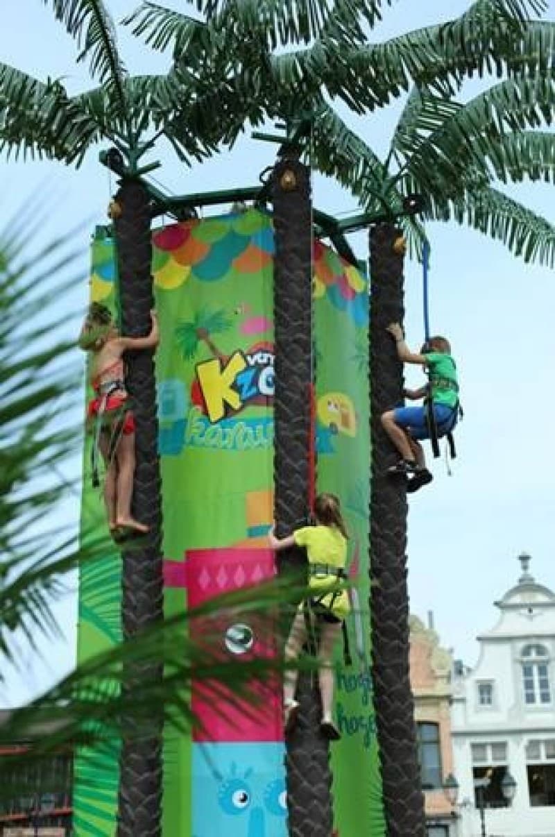 Mobilen 3 - persons Kletterpalme für ihr Event mieten – 4