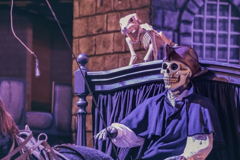 Bestattungskutsche, Leichenwagen, Beerdigungs Kutsche, Halloween Dekoration, historische Kutsche – 4