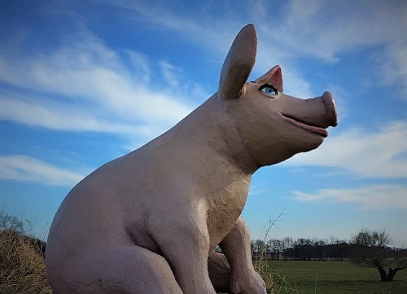 Glücksbringer, Kleeblatt, Schwein, Hufeisen, Silvester Dekoration – 3