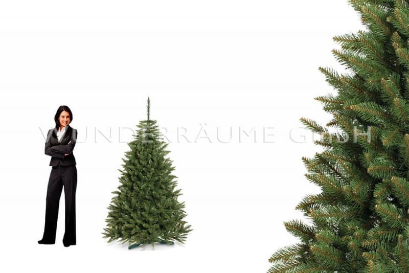 Nadelbaum Fichte, M