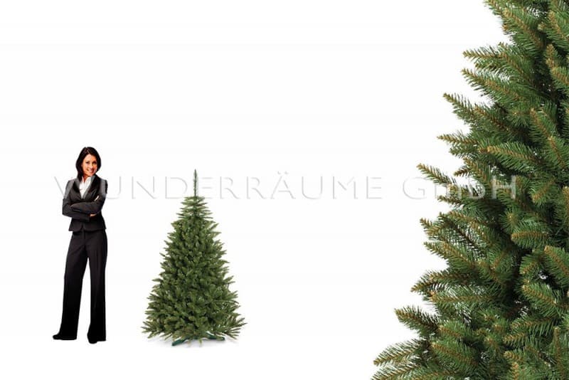 Nadelbaum Fichte, S