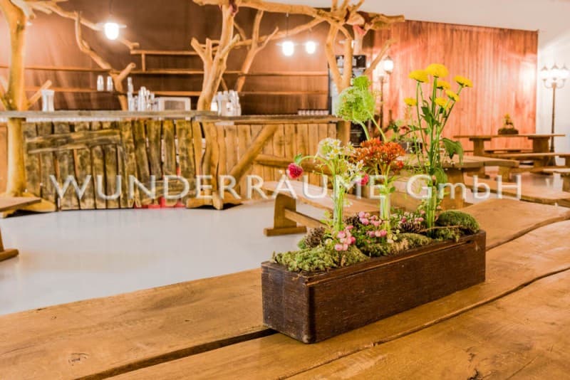 Wald-Bar – 5