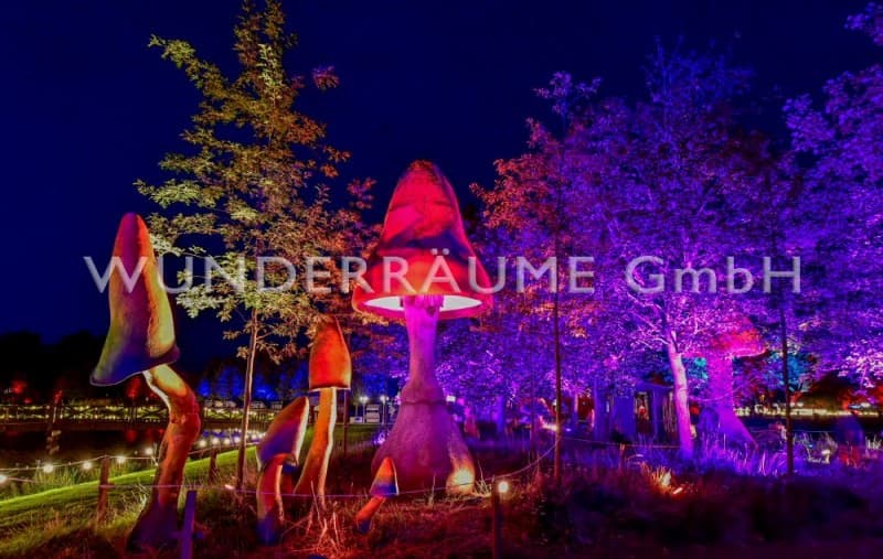 10 Riesenpilze bis 6 m Höhe - Pilze XXL – 5