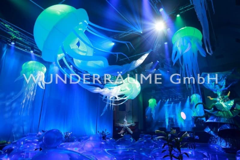 Quallen-Set – 5