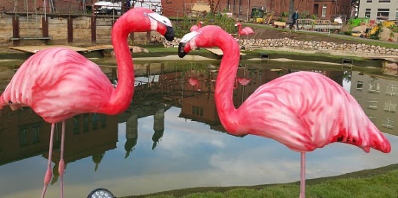 Flamingo , Hochzeitdekoration – 3