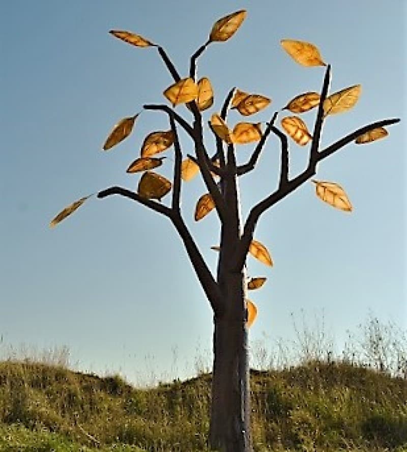 Riesen Bäume XXL – 2