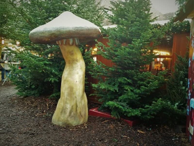  Riesen Pilze , Pilz – 2