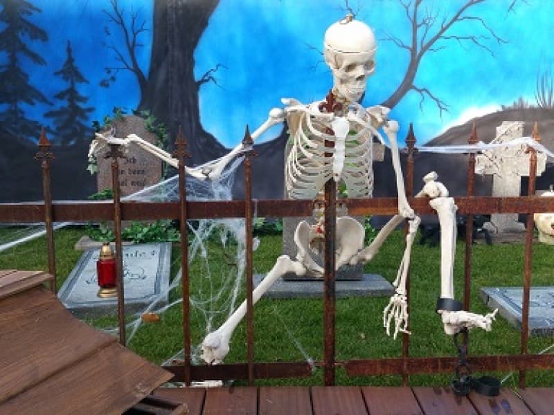 Skelett , Piraten Dekoration , Halloween Dekoration – 2