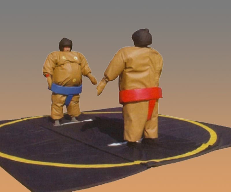 Sumo-Ringen (inkl. Anlieferung u. Aufbau + Abbau u. Abholung im Umkreis) – 2