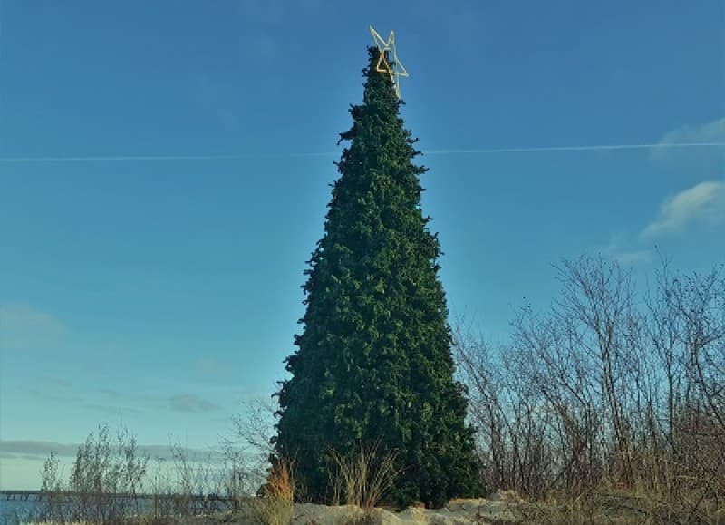 Riesen Weihnachtsbaum , Weihnachtsdekoration , Weihnachtsmarktdekoration , Weihnachten – 3