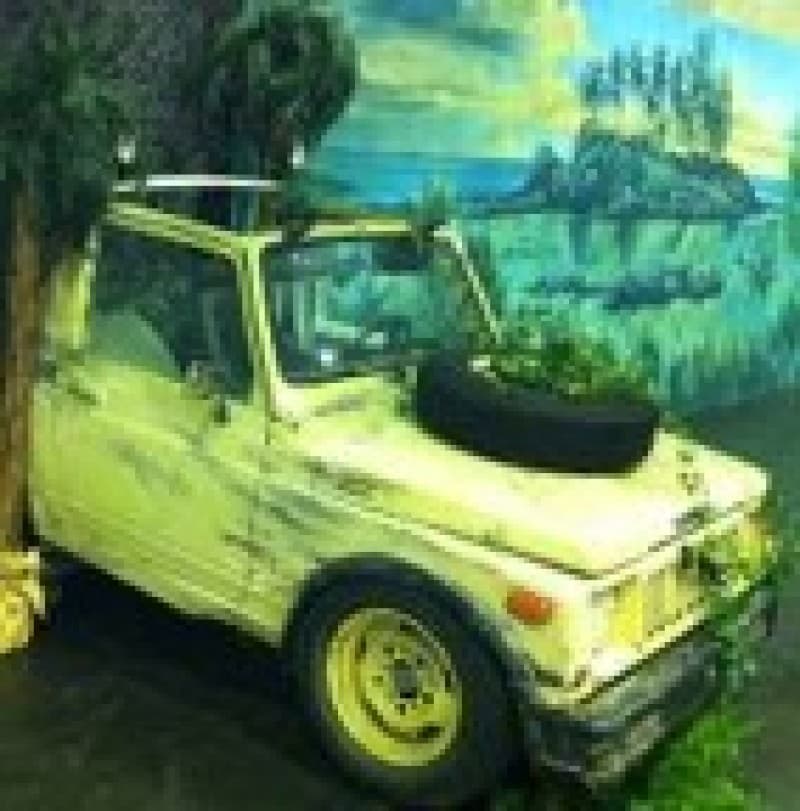 Safari Jeep – 2