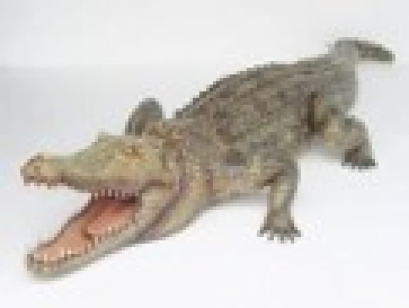 Alligator - Krokodil Figur
