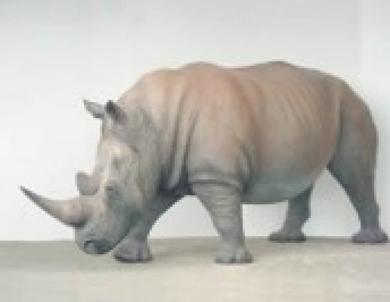 Nashorn Figur 