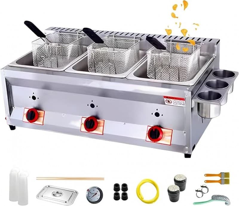 Gasfritteuse Fritteuse gewerblich 2 Tanks 10 l x 2/3 Korb Deckel Edelstahl Propan große Kapazität