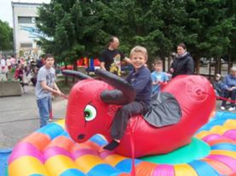 Rodeo Bulle manuell