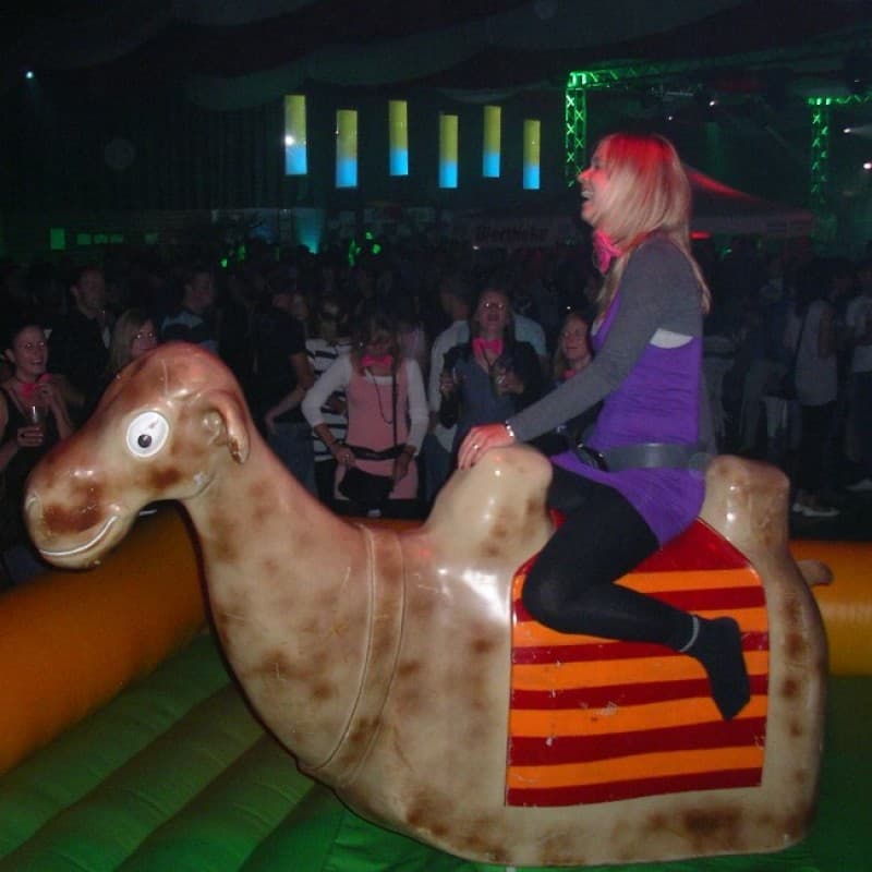 Kamelrodeo - Bullriding Variante
