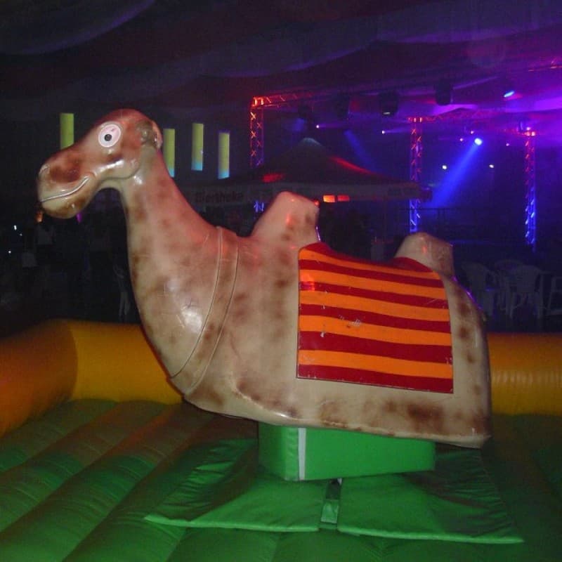 Kamelrodeo - Bullriding Variante – 2