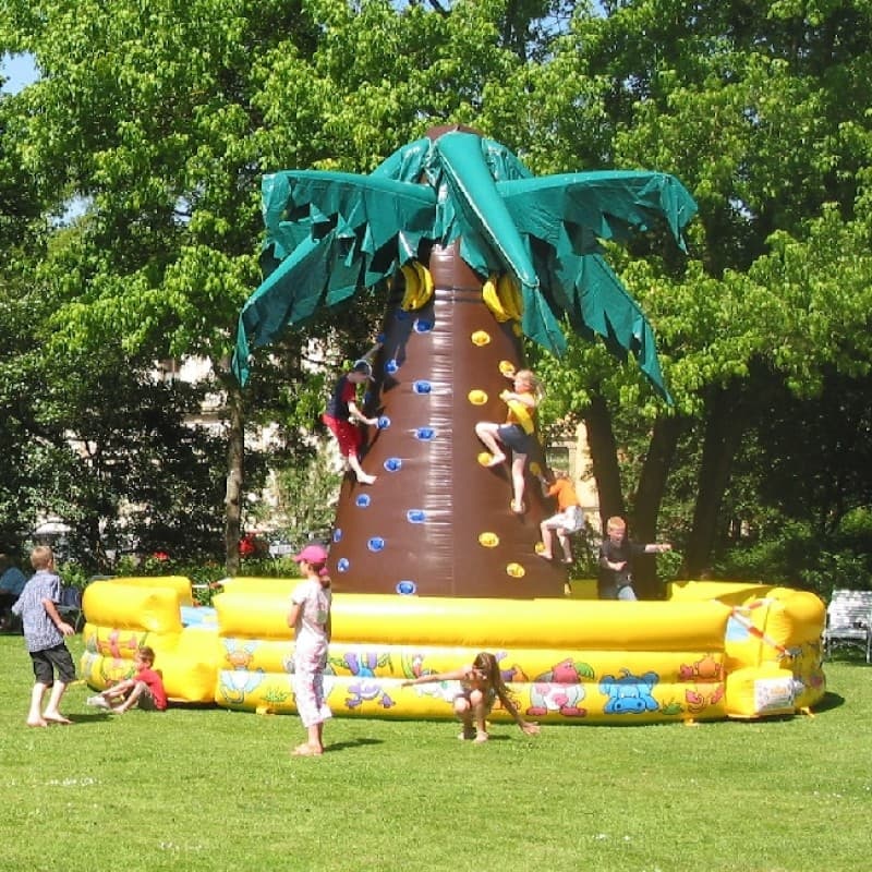 Kletterberg / Kletterpalme - NEUARTIGES SPIELKONZEPT – 2