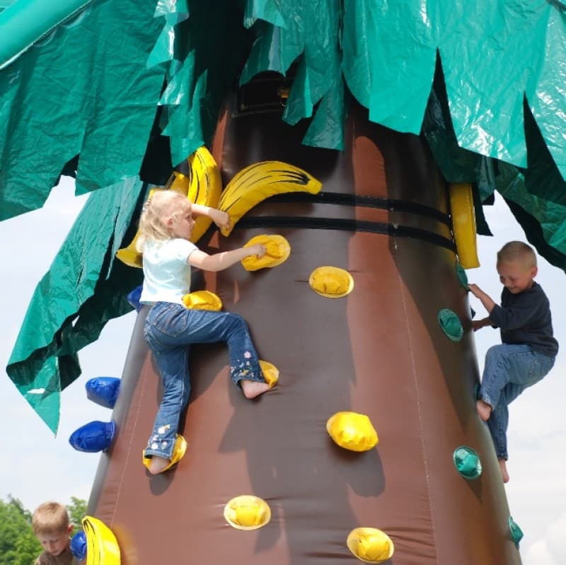 Kletterberg / Kletterpalme - NEUARTIGES SPIELKONZEPT – 3