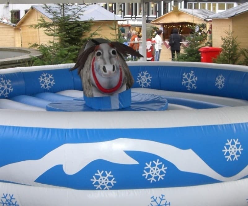 Rentier Rodeo / Bullriding / Rodeo / Bull Riding / Bulle – 3