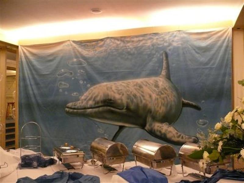 Delfin Unterwasser Bühnenbild , Maritime Dekoration , Wasser Tiere – 2