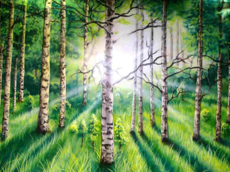 Bühnenbild Wald , Waldkulisse , Waldlandschaft
