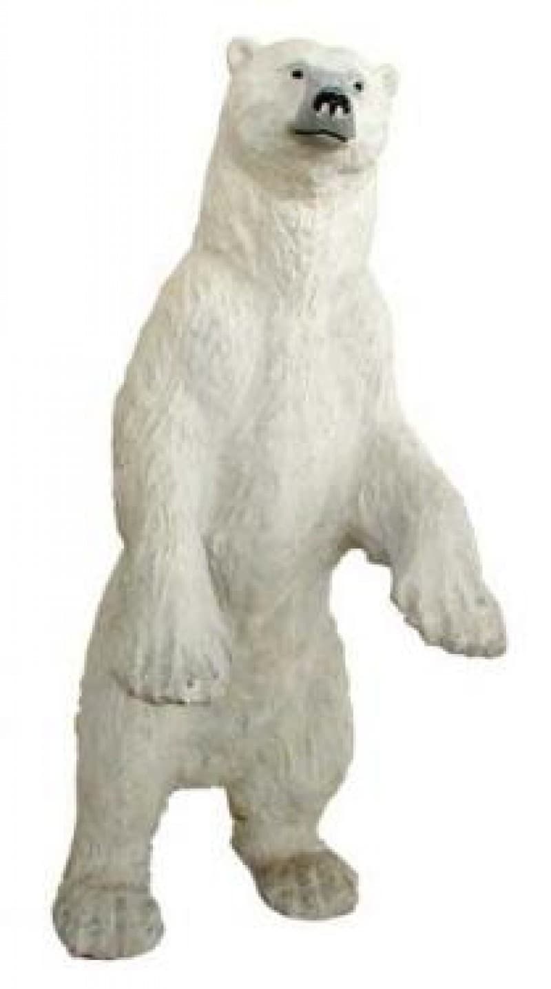 Eisbären,Eis,Schnee,Winter, Tier,Bär,Polareisbär