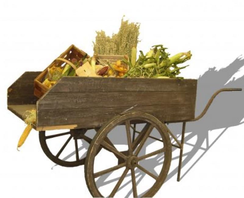 Marktwagen / Marktkarre / Obstkarre