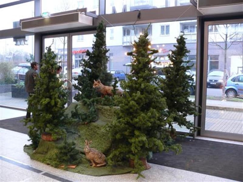 Waldlandschaft mit ausgestopften Tieren - mit und ohne Schnee , Winterlandschaft , Winterdekoration – 5