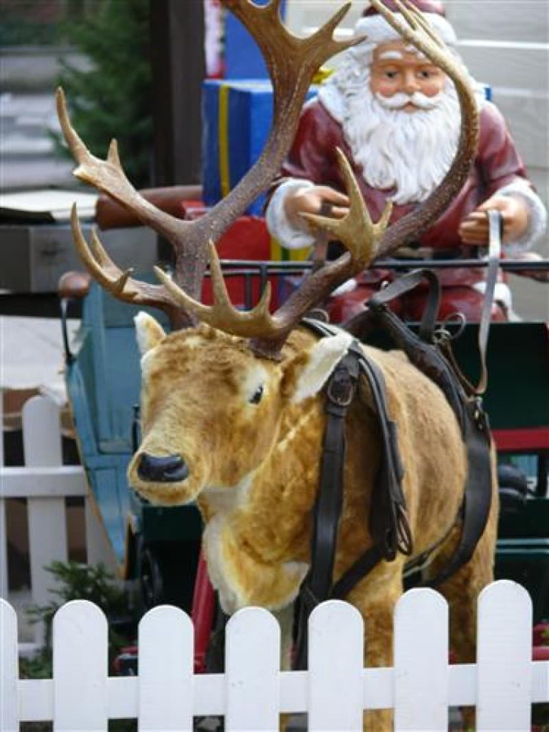Kutsche mit Weihnachtsmann und Rentier ( original Kutsche) , Weihnachts Dekoration , Weihnachtsmarkt