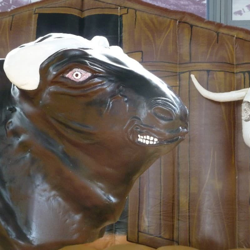 Bullriding deluxe - das exklusive American Western Rodeo