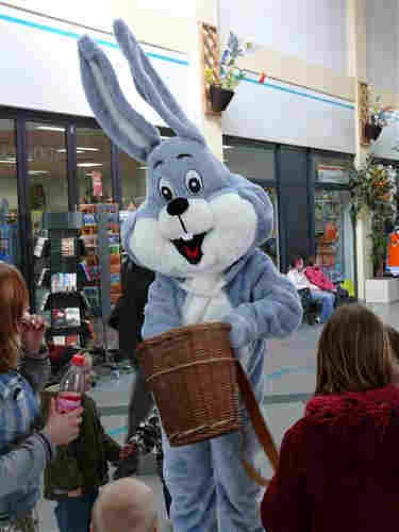 Osterhase grau , Paradekostüm Hase , Hasenanimation , Ostern