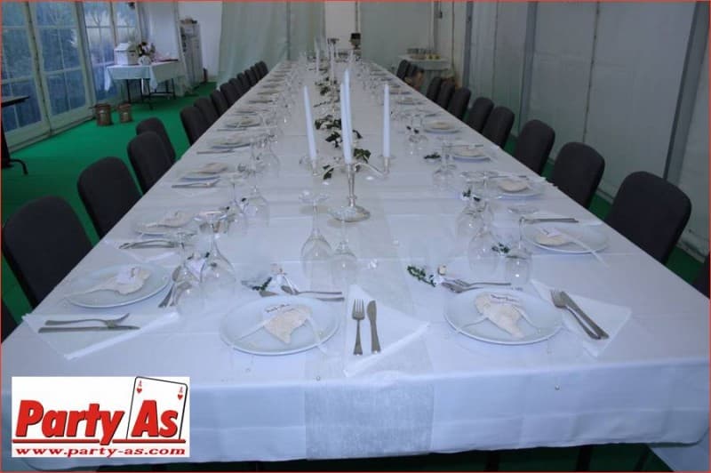 Schwenkgrill – 3