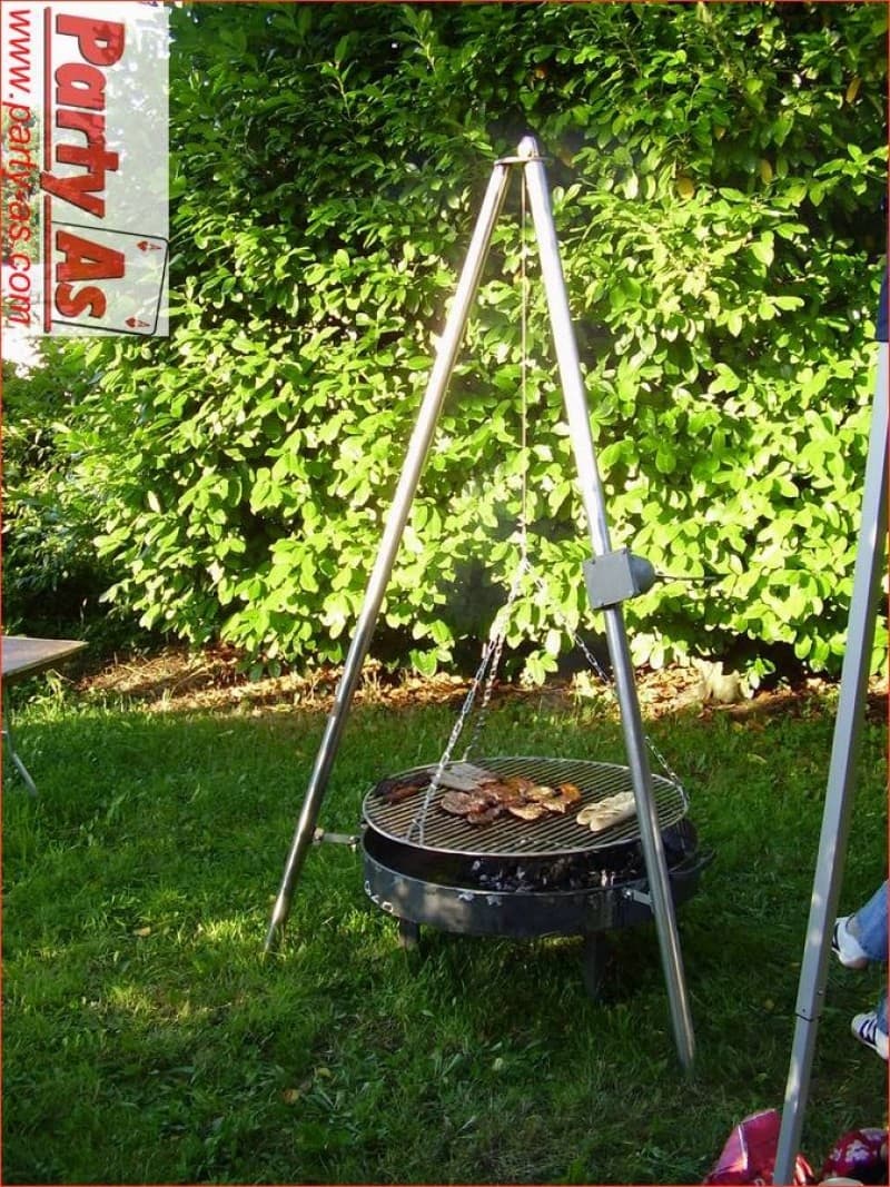 Schwenkgrill