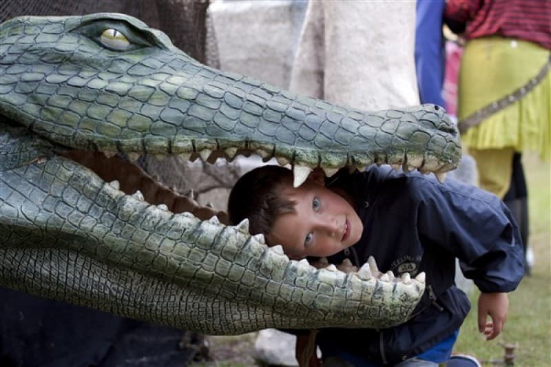 Krokodil , Piraten Dekoration – 2