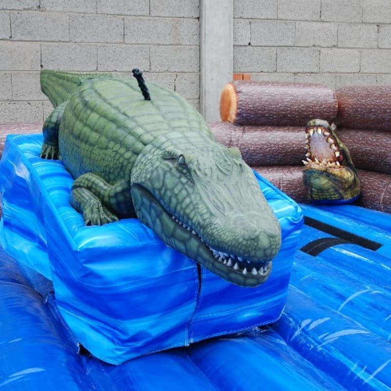 Krokodil - Alligator Rodeo wie Bullriding – 3