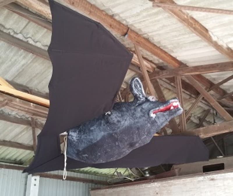 Fledermaus XXL, Halloween,