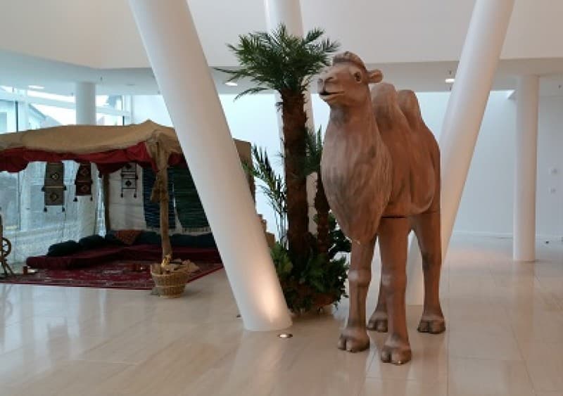 Kamel groß, Ägypten, Tier, Zoo, Wüste – 2