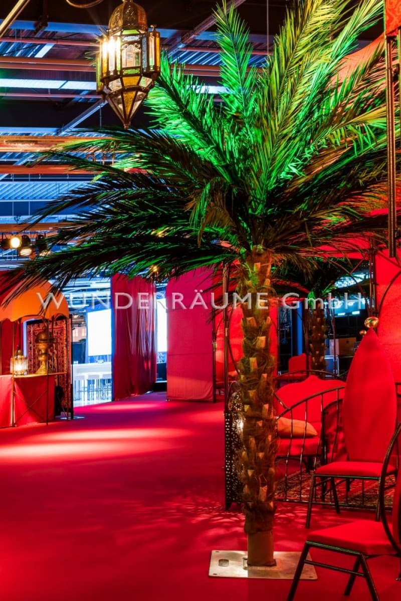Palme XL – 5